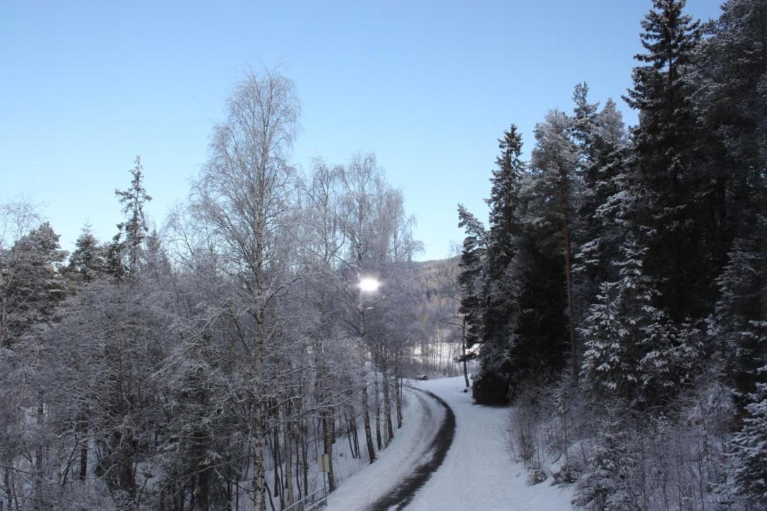 Furulund Pensjonat Ron Exterior foto